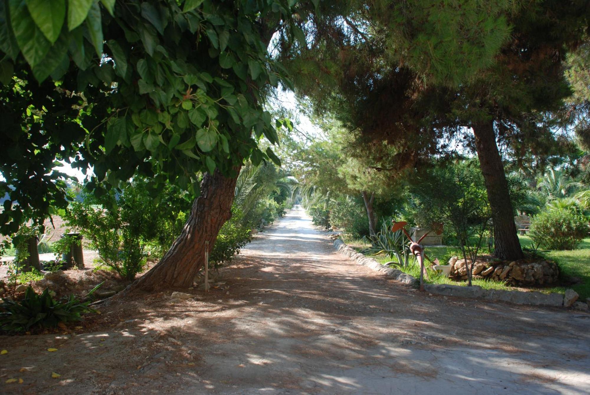 Terrauzza Sul Mare Di Renata Emmolo Daire Siraküza Dış mekan fotoğraf